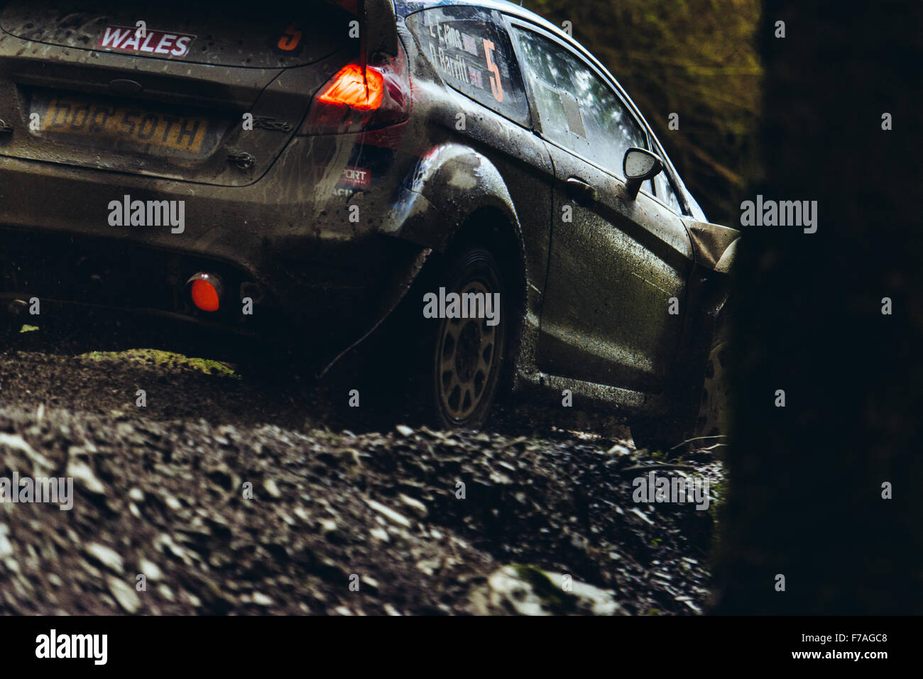Ford Fiesta M-Sport World Rally Car auf Wales Rallye GB 2015 Stockfoto