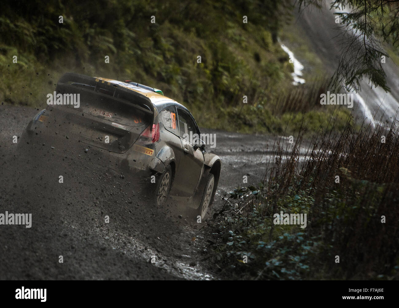 WRC F.W.R.T Ford Fiesta RS von Lorenzo Bertell in Wales Rally GB 2015 Stockfoto