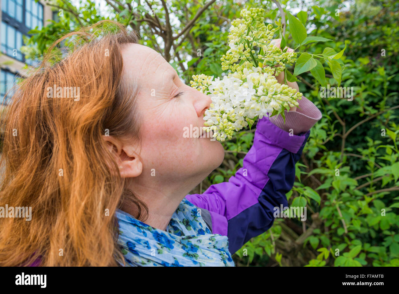 Frau weiß lila Blumen riechen Stockfoto