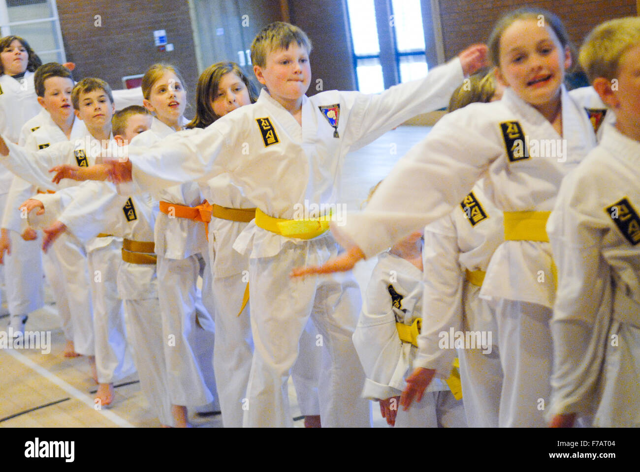 Gruppe von Kindern bei Kampfkunst-training Klasse in Aberdeenshire, Schottland. Stockfoto