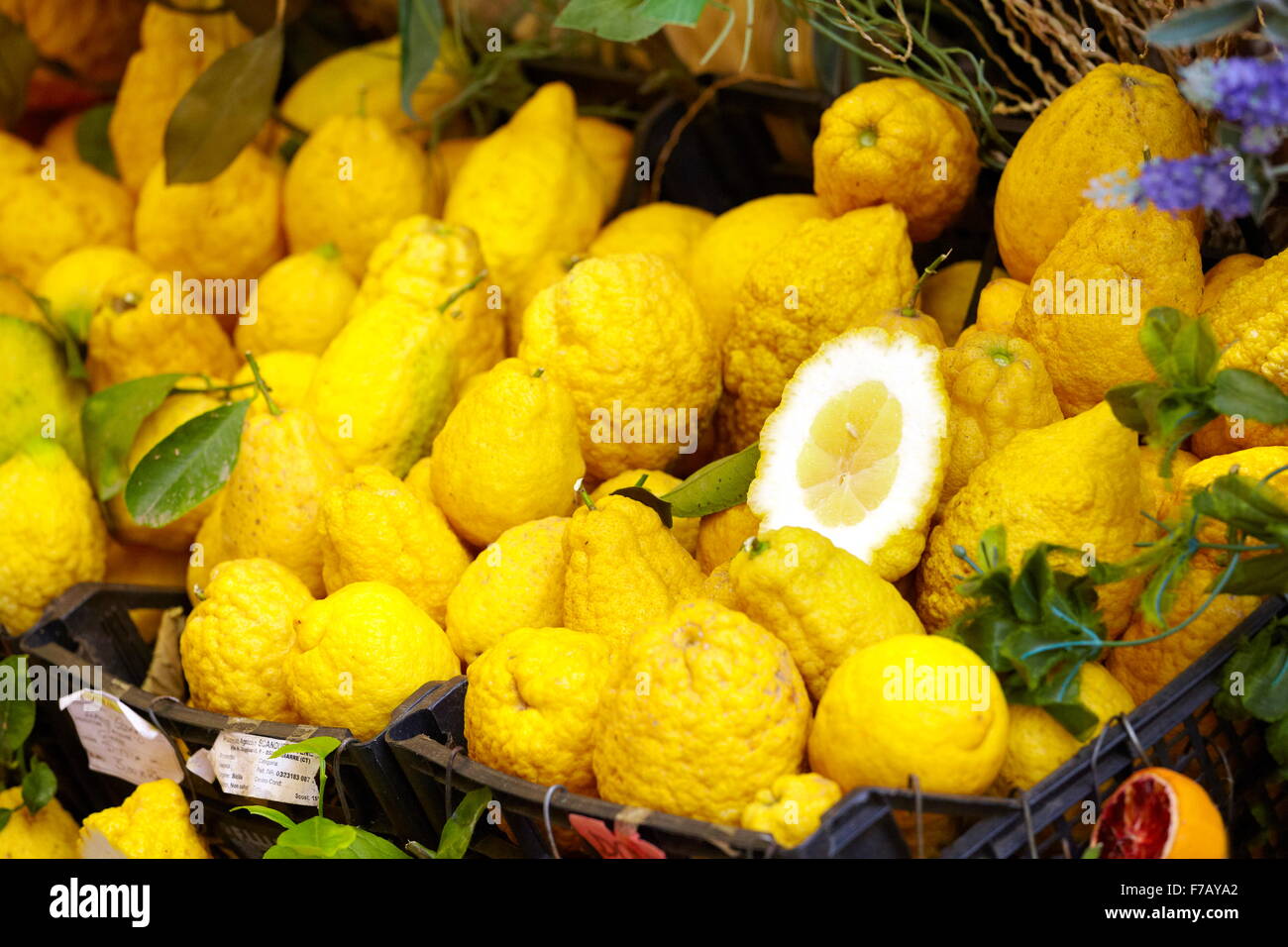 Zitrusfrüchten, Lebensmittelmarkt von Ortigia, Siracusa, Sizilien, Italien Stockfoto
