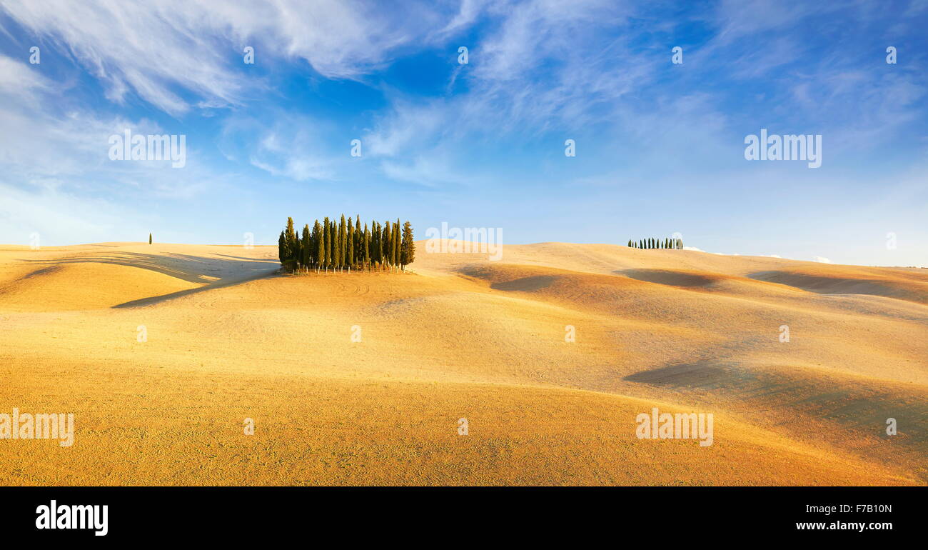 Val d ' Orcia, Zypresse Bäume, Toskana, Italien Stockfoto