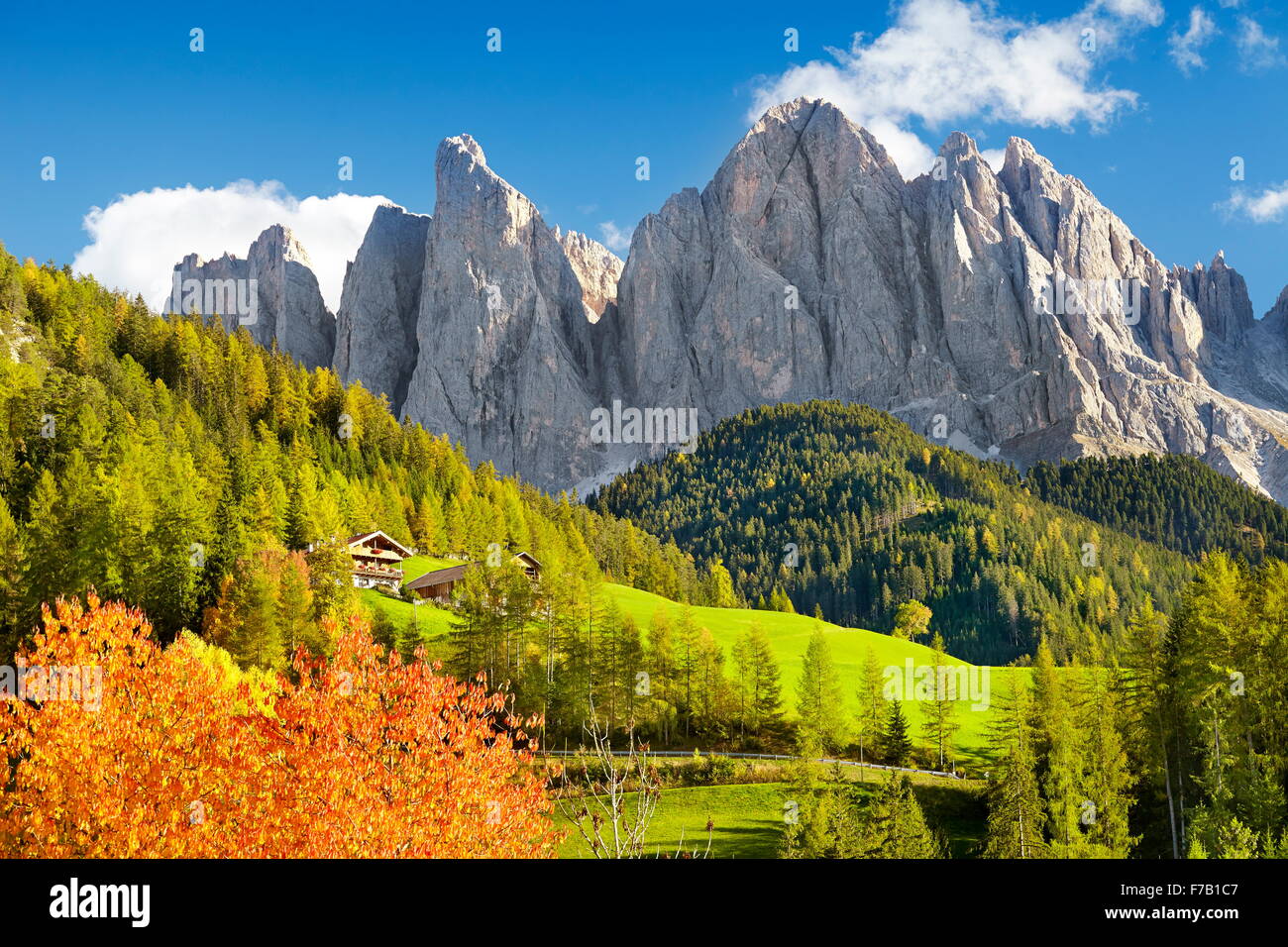 Herbstliche Landschaft im Val Di Funes, Alpen, Dolomiten, Südtirol, Italien Stockfoto