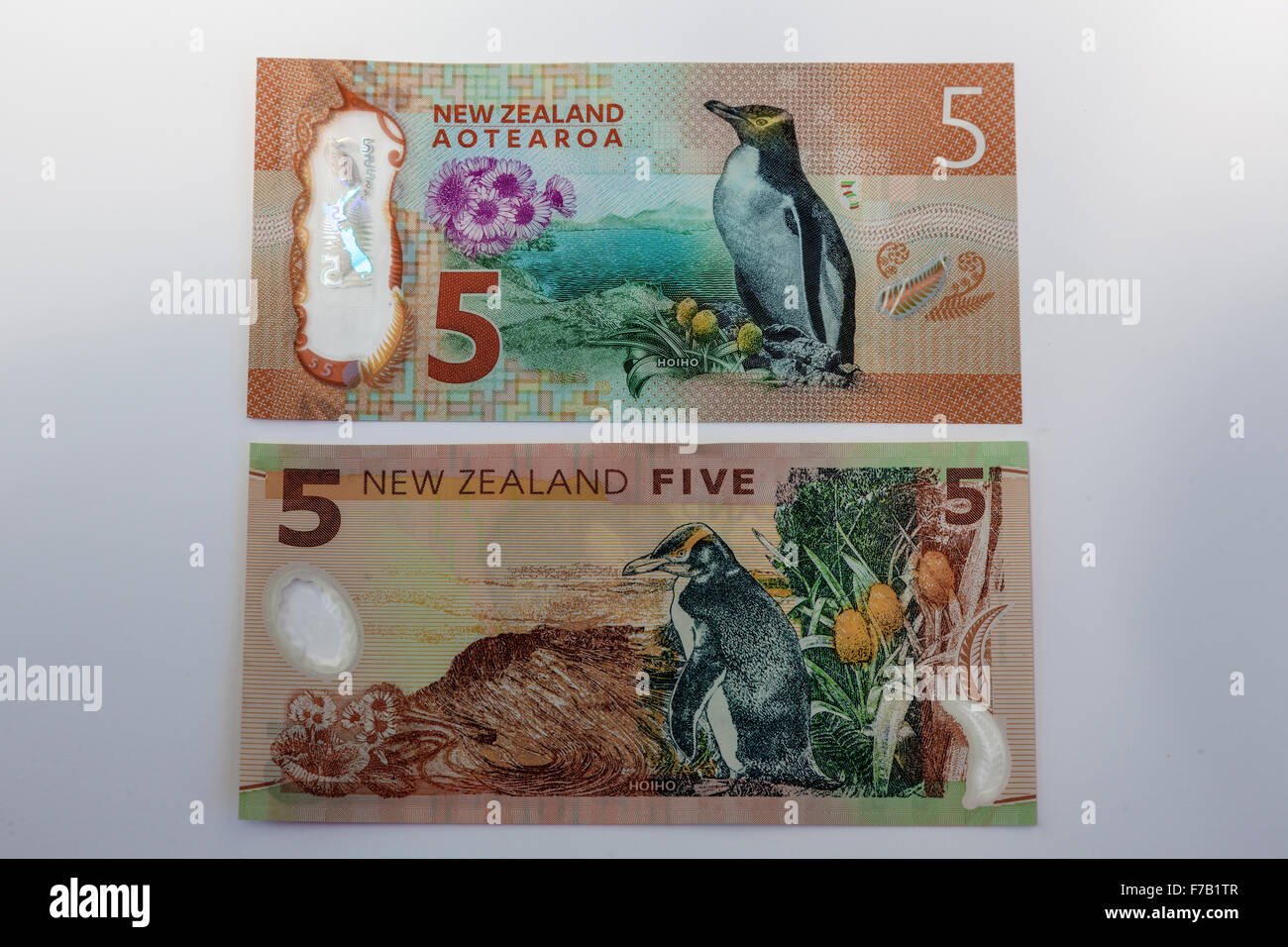Neue aktualisierte und alten fünf Kiwi-Dollar $5 Neuseeland Banknoten, NZD auf der Rückseite Stockfoto