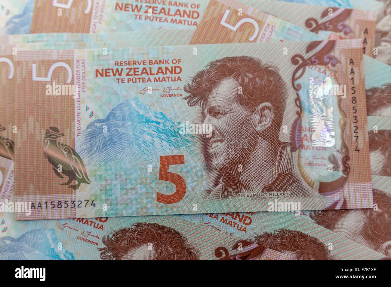 New aktualisiert Polymer fünf Kiwi-Dollar $5 Neuseeland Banknoten NZD Stockfoto