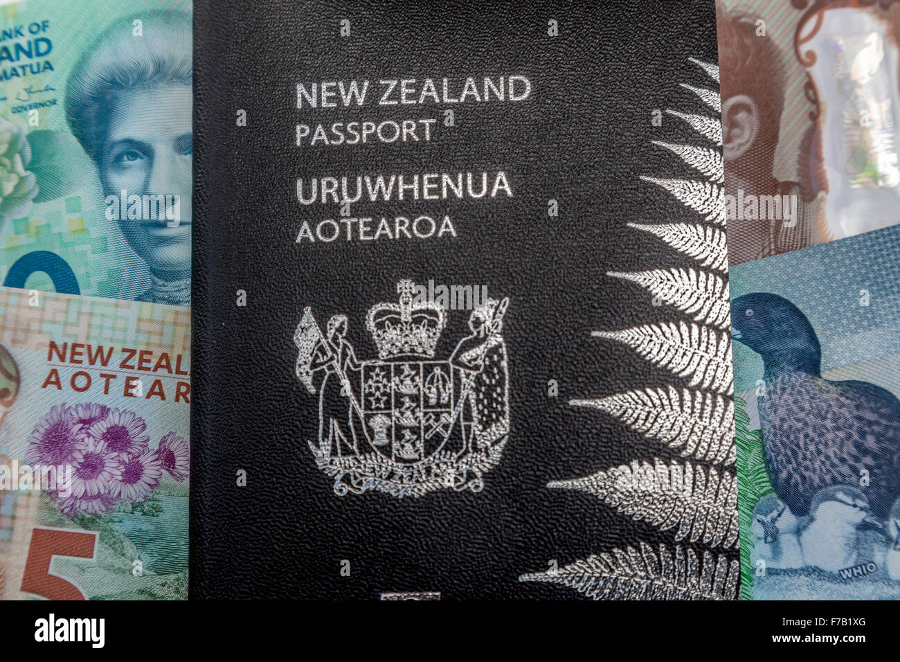 New aktualisiert, fünf und zehn Dollar Neuseeland Polymer-Banknoten NZD $5 und $10 und Kiwi-Pass Stockfoto