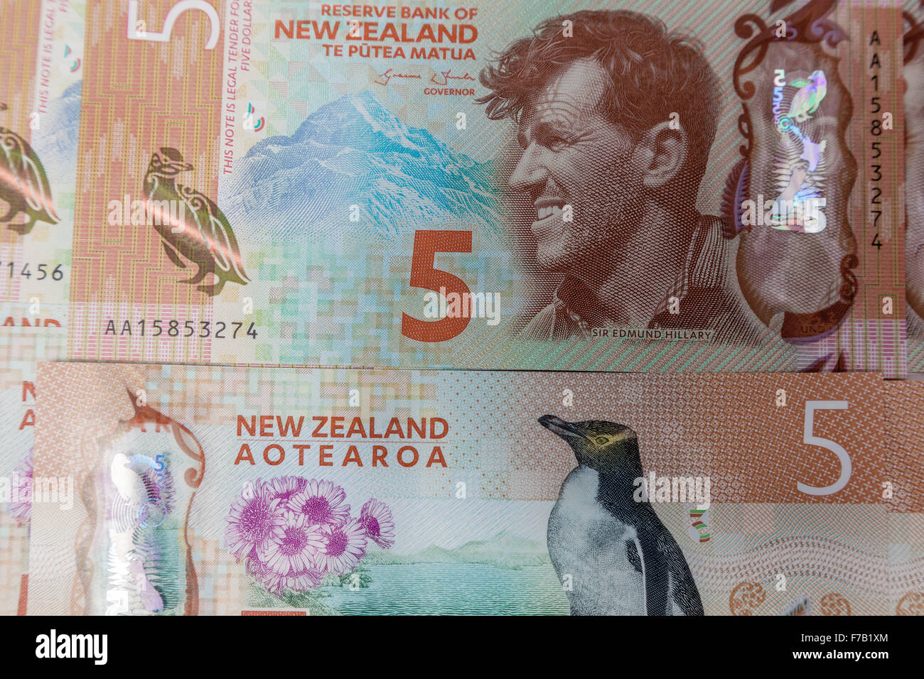 New aktualisiert $5 fünf Kiwi-Dollar Neuseeland Plastikpolymer Banknoten NZD, beidseitig Stockfoto