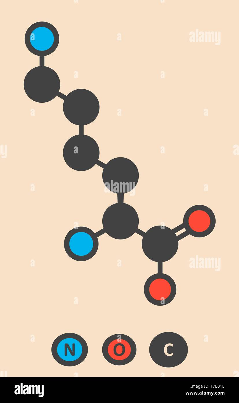 Aminosäure Lysin (l-Lysin, Lys, K)-Molekül. Stilisierte Skelettformel (chemische Struktur). Atome sind dargestellt als farbcodierte Stockfoto