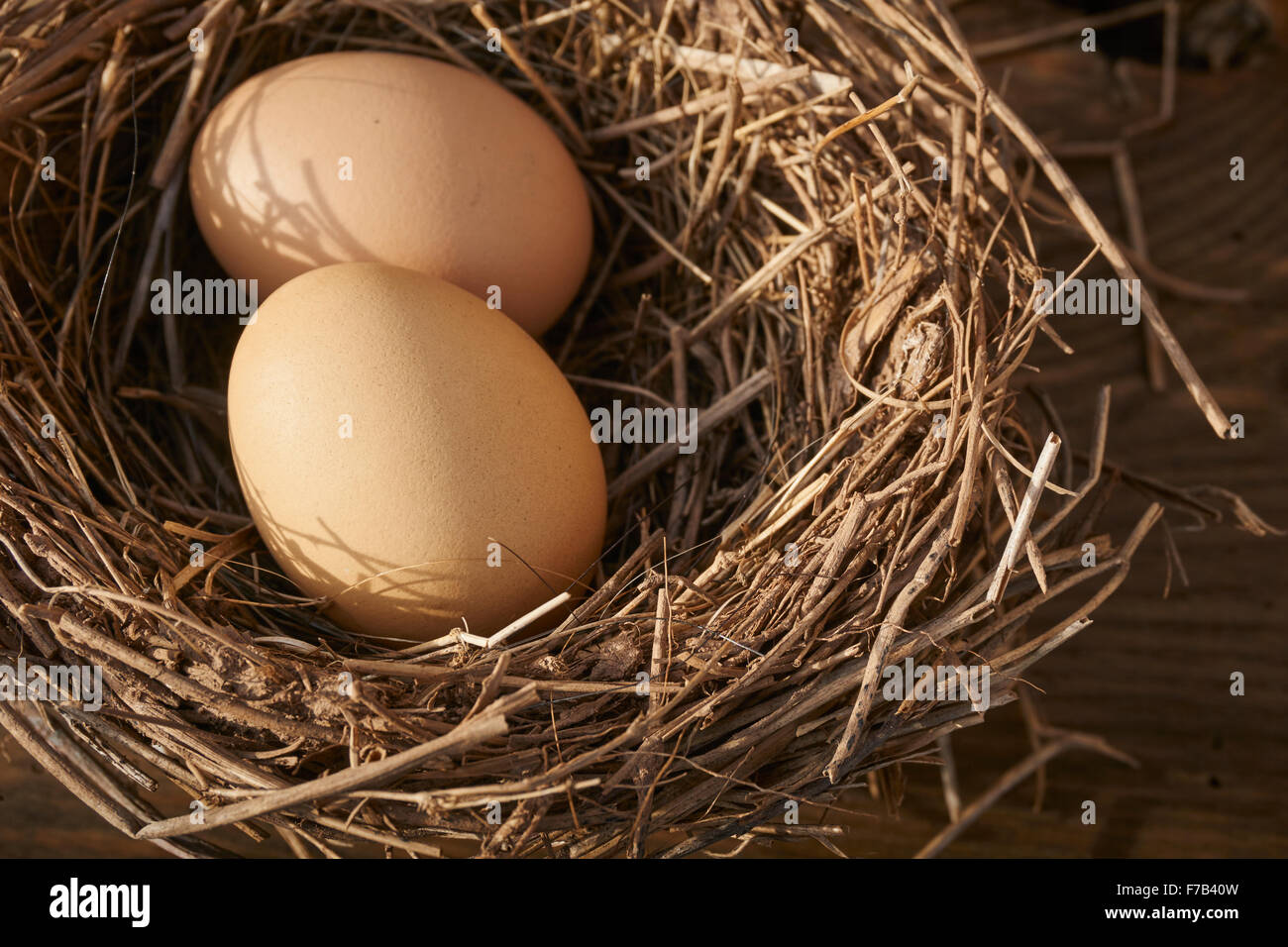 Dekorative gefälschte Vogel das nest, Lancaster County, Pennsylvania, USA Stockfoto