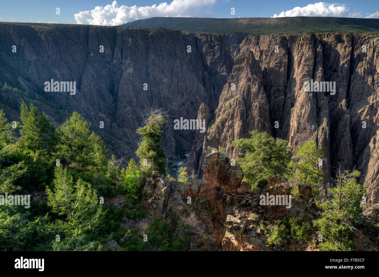 Der Gunnison River fließt 1700 Fuß unter diesem Gesichtspunkt bei der Visitor Center des Black Canyon des Gunnison National Park Stockfoto