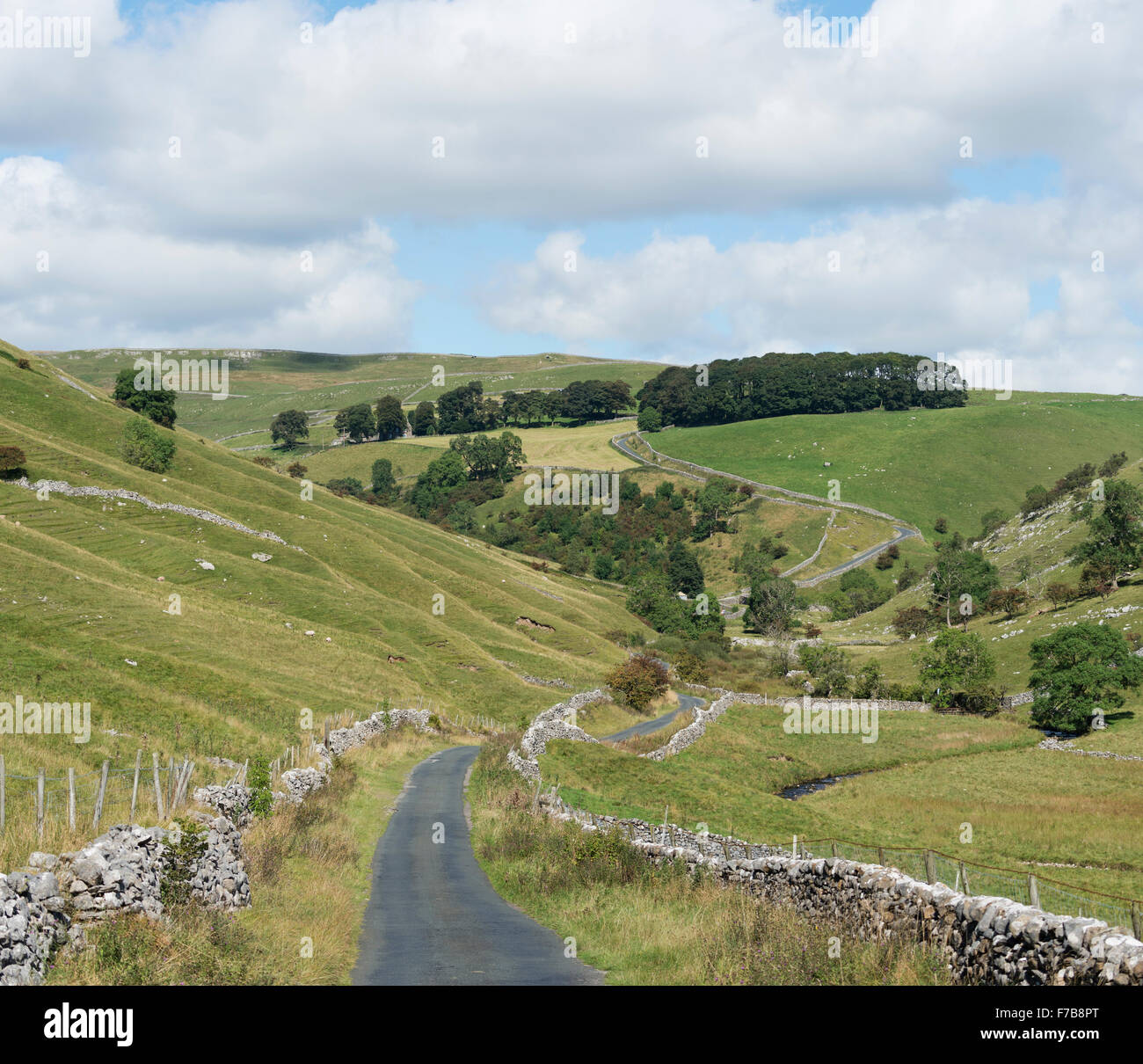 Park Hautausschlag, Yorkshire Dales National Park, UK. Stockfoto