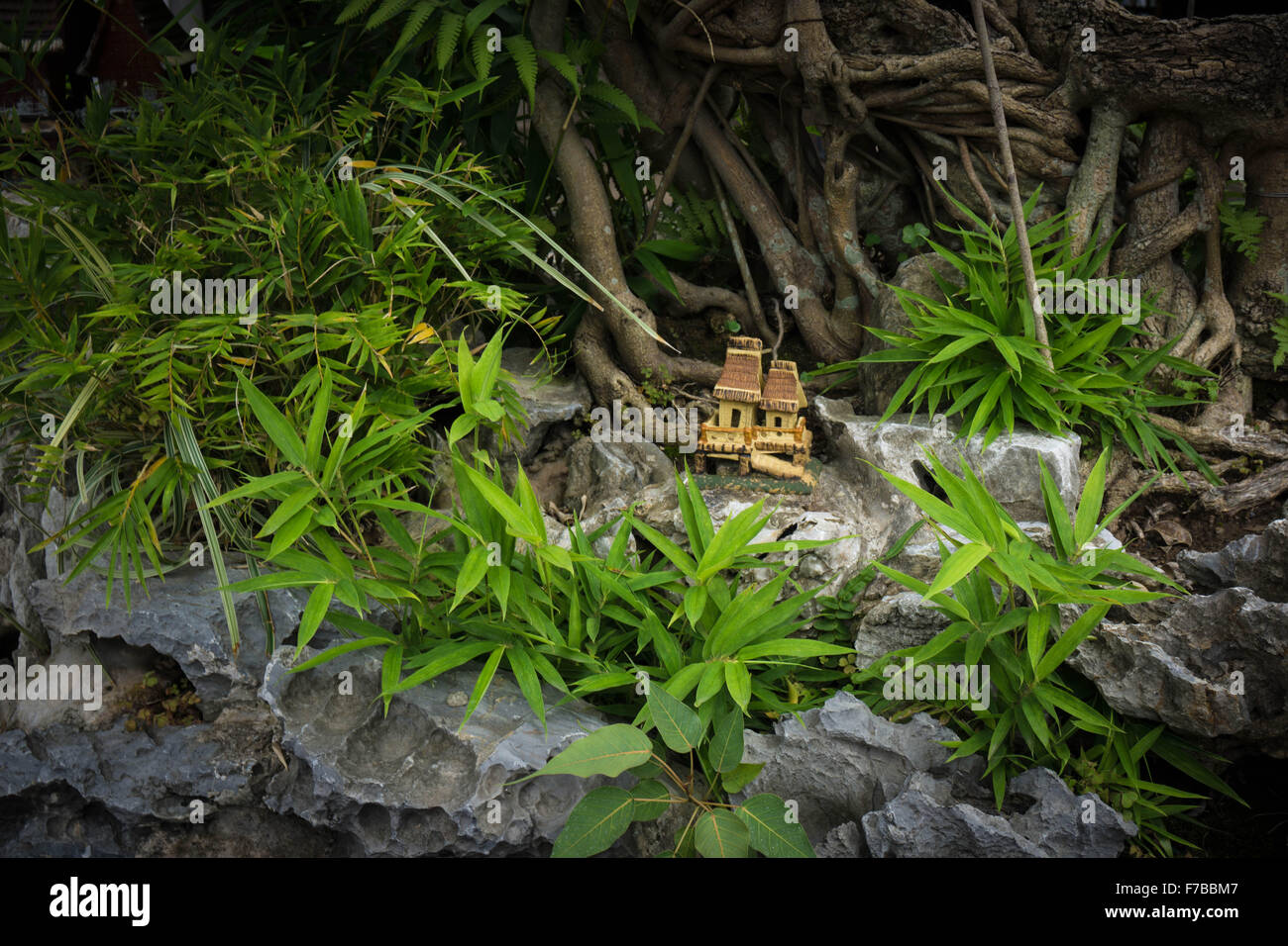 Hanoi, Vietnam: Temple of Literature, Landschaften Bonsai Miniatur im Rathaushof Stockfoto