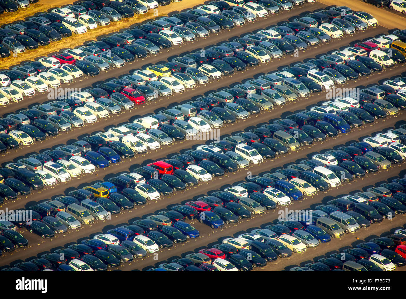 Auto Importeur Autohandel Grosser Parkplatz Autoverkauf
