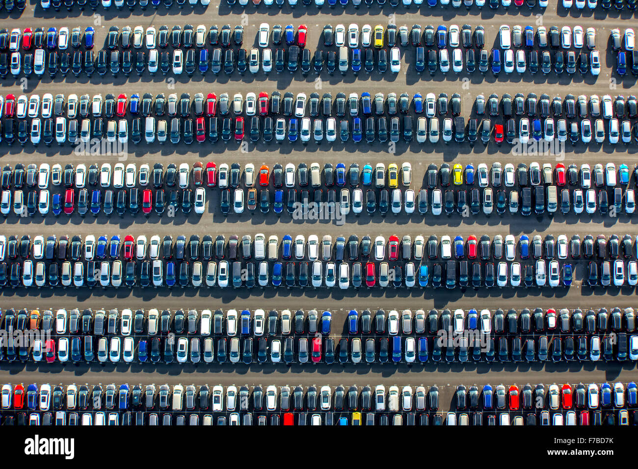Auto Importeur Autohandel Grosser Parkplatz Autoverkauf