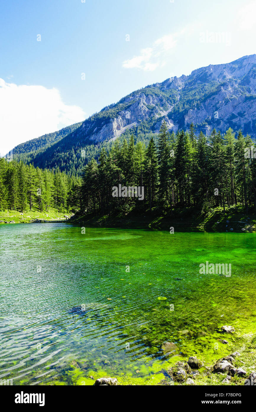 Tragoess, Grüner See, Grüner See, Österreich, Steiermark Stockfoto