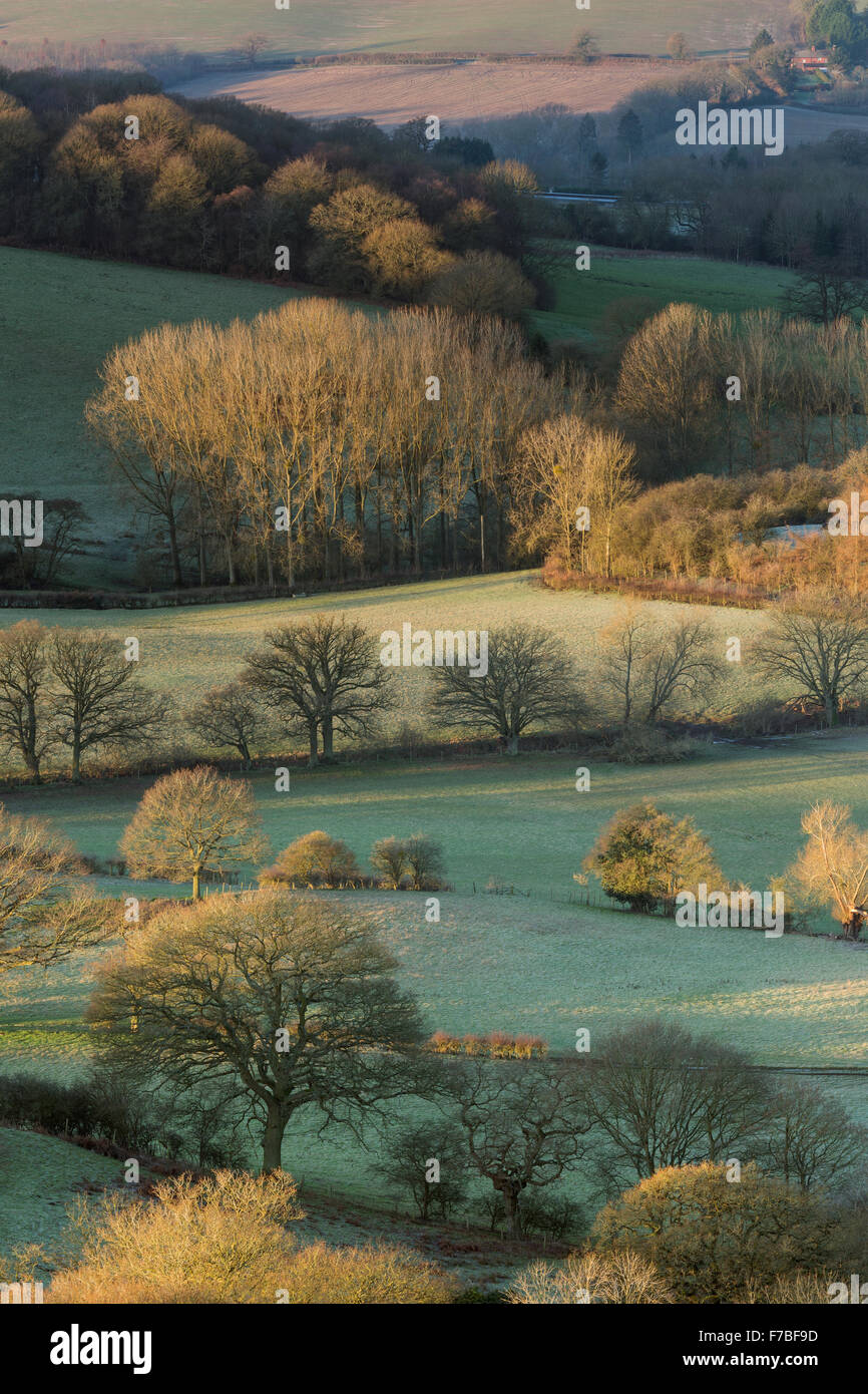 Frost bedeckt Bäume und Felder werden durch die starke Orange oder Sunrise, Herefordshire beleuchtet. Stockfoto