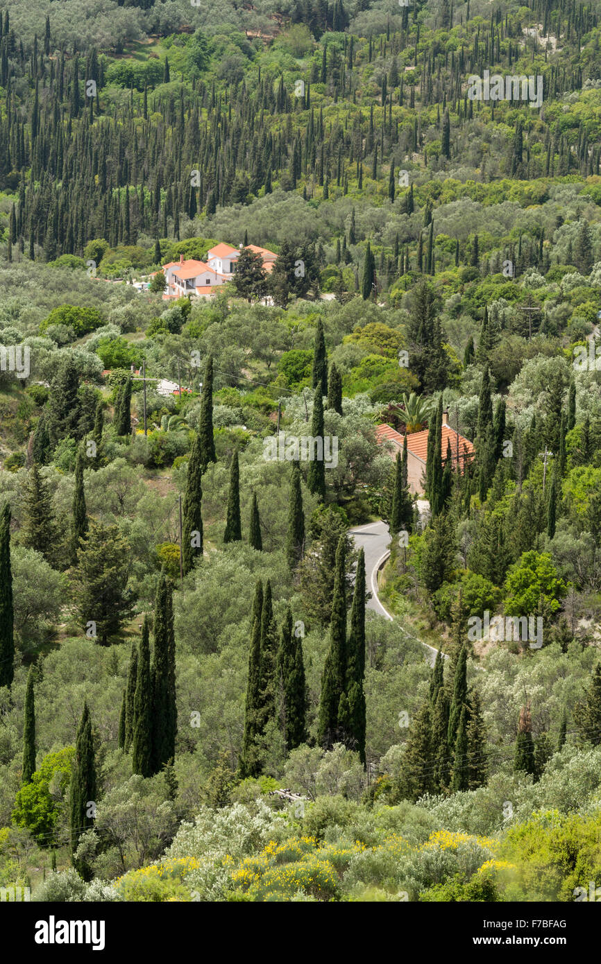 Griechische Villen stehen Amounst, Zypressen und Olivenbäume auf Korfu. Stockfoto