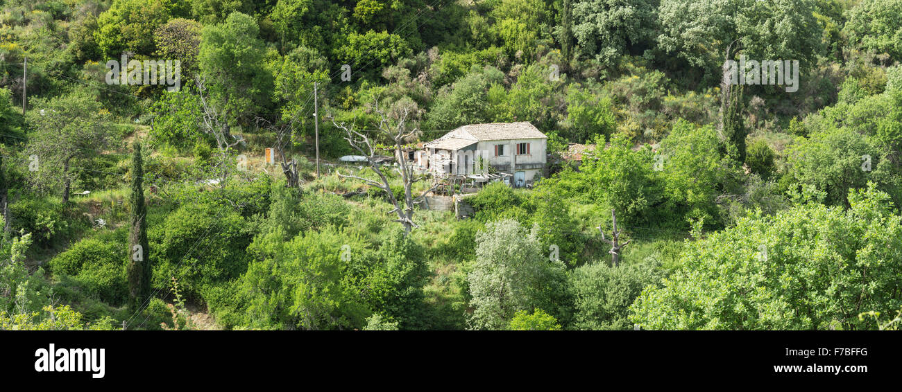 Ein altes Haus steht unter Bäumen am Hang in der Nähe von Old Perithia, Palaia Peritheia, Korfu, Griechenland. Stockfoto