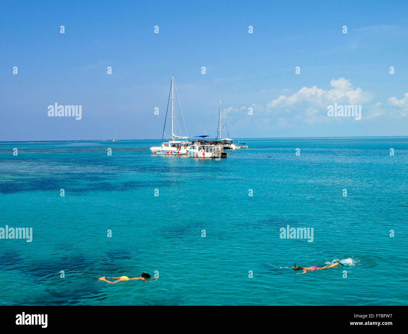 Cayo Largo del Sur, Kuba Stockfoto