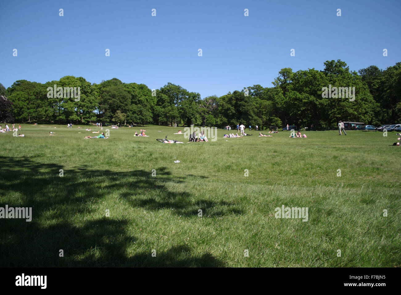 Menschen Sie entspannen, Sonnenbaden und lesen im Richmond Park, London, UK Stockfoto