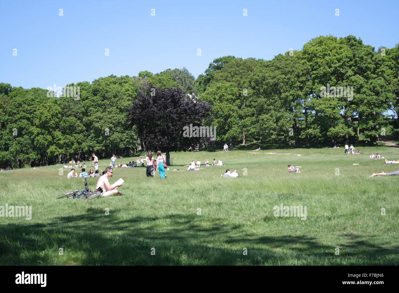 Menschen Sie entspannen, Sonnenbaden und lesen im Richmond Park, London, UK Stockfoto