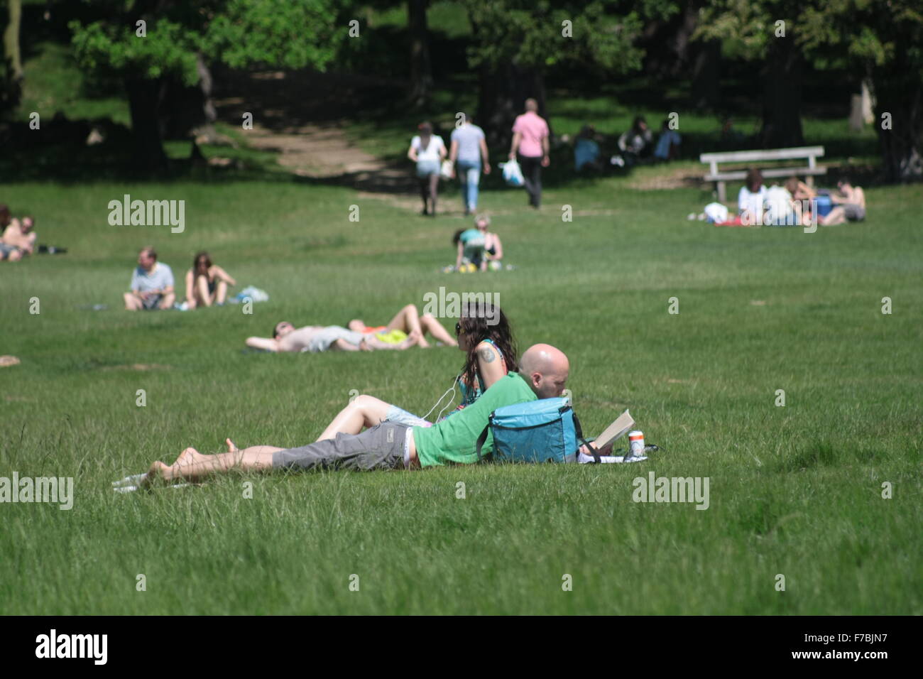 Menschen Sie entspannen, Sonnenbaden und lesen im Richmond Park, London, UK Stockfoto