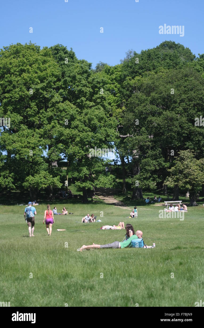 Menschen Sie entspannen, Sonnenbaden und lesen im Richmond Park, London, UK Stockfoto