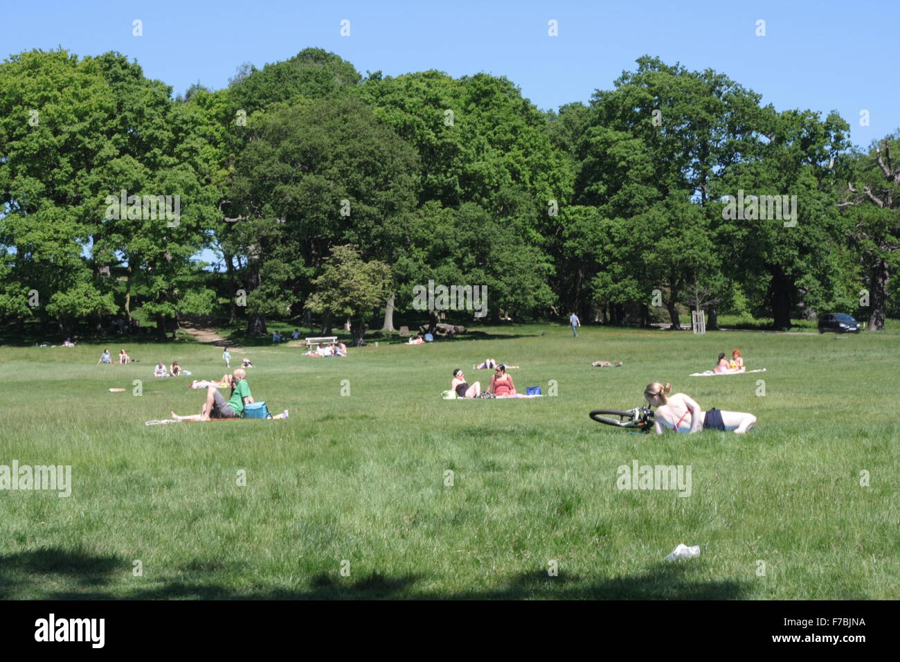 Menschen Sie entspannen, Sonnenbaden und lesen im Richmond Park, London, UK Stockfoto