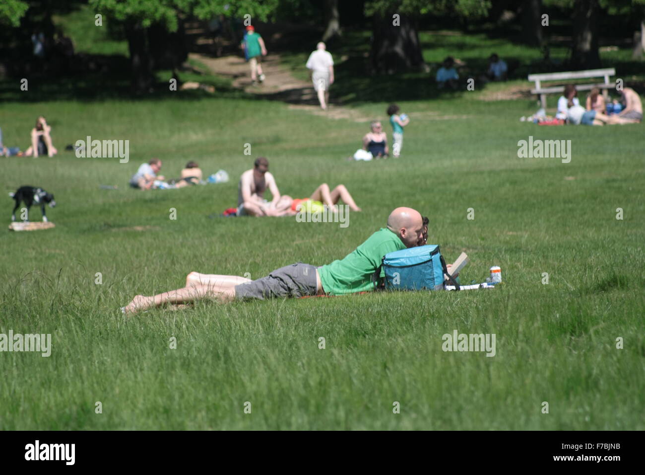 Menschen Sie entspannen, Sonnenbaden und lesen im Richmond Park, London, UK Stockfoto