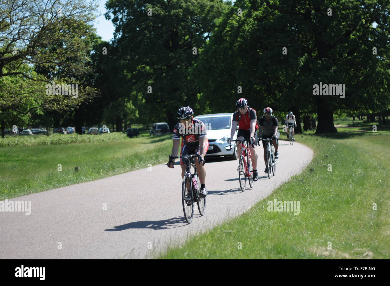 Radfahrer und Autos auf der Durchreise Richmond Park, London Stockfoto