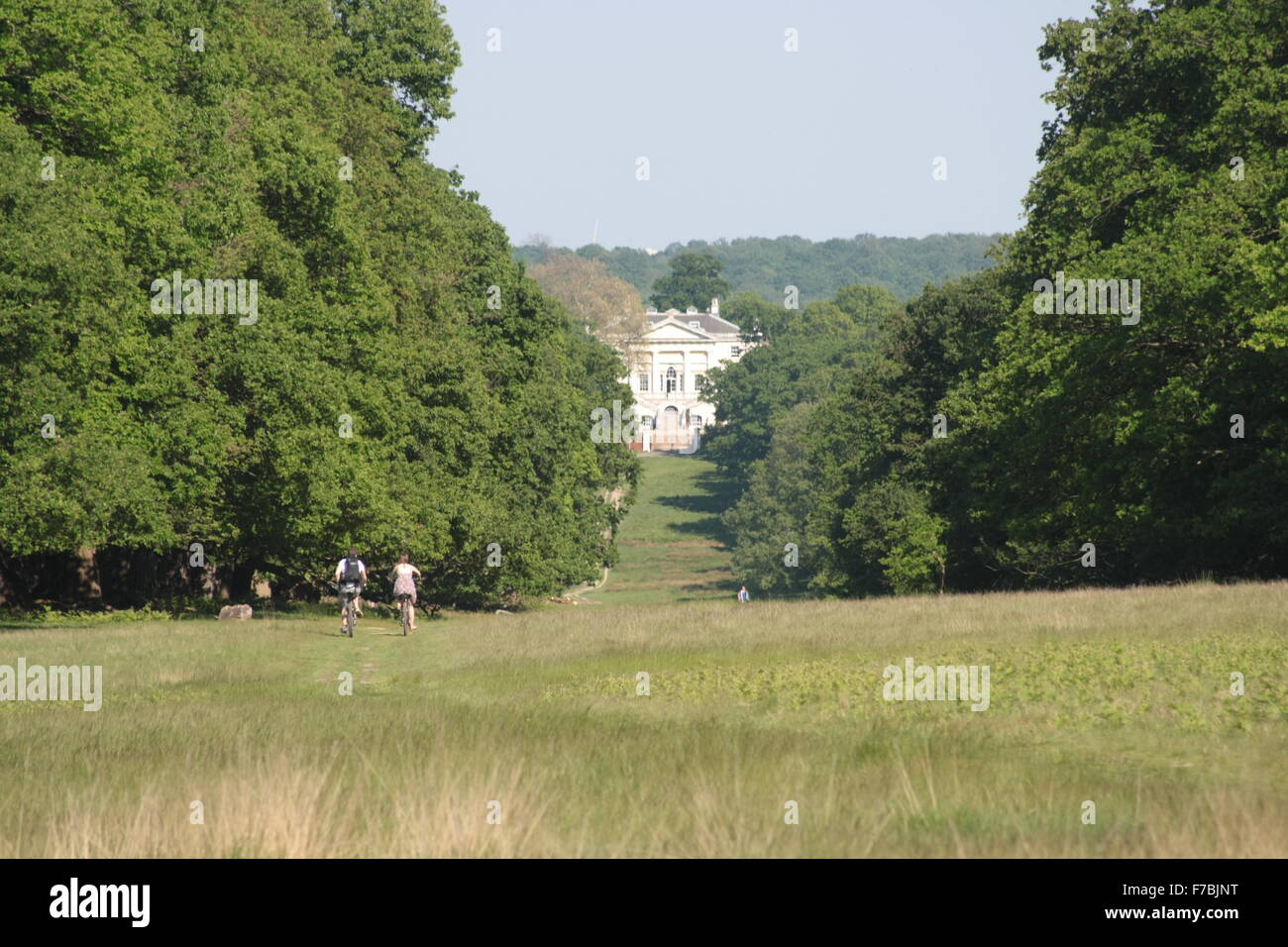 Den Hügel hinunter zum White Lodge Royal Ballet School in Richmond Park, London anzeigen Stockfoto