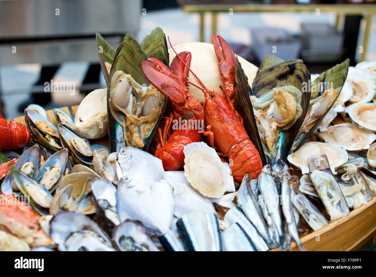 Fisch und Hummer im Buffet-restaurant Stockfoto