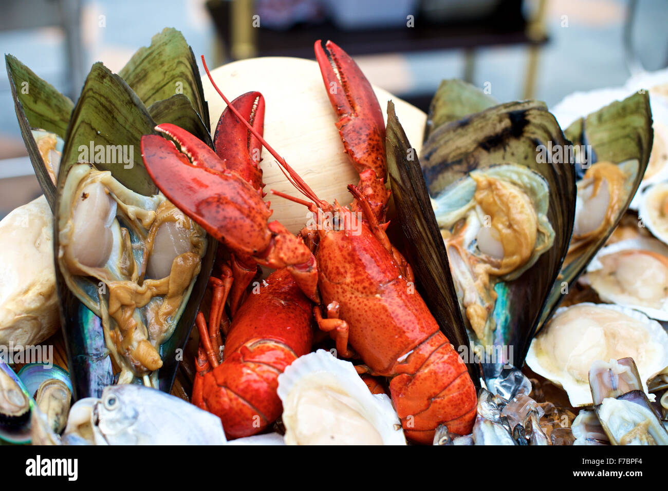 Fisch und Hummer im Buffet-restaurant Stockfoto