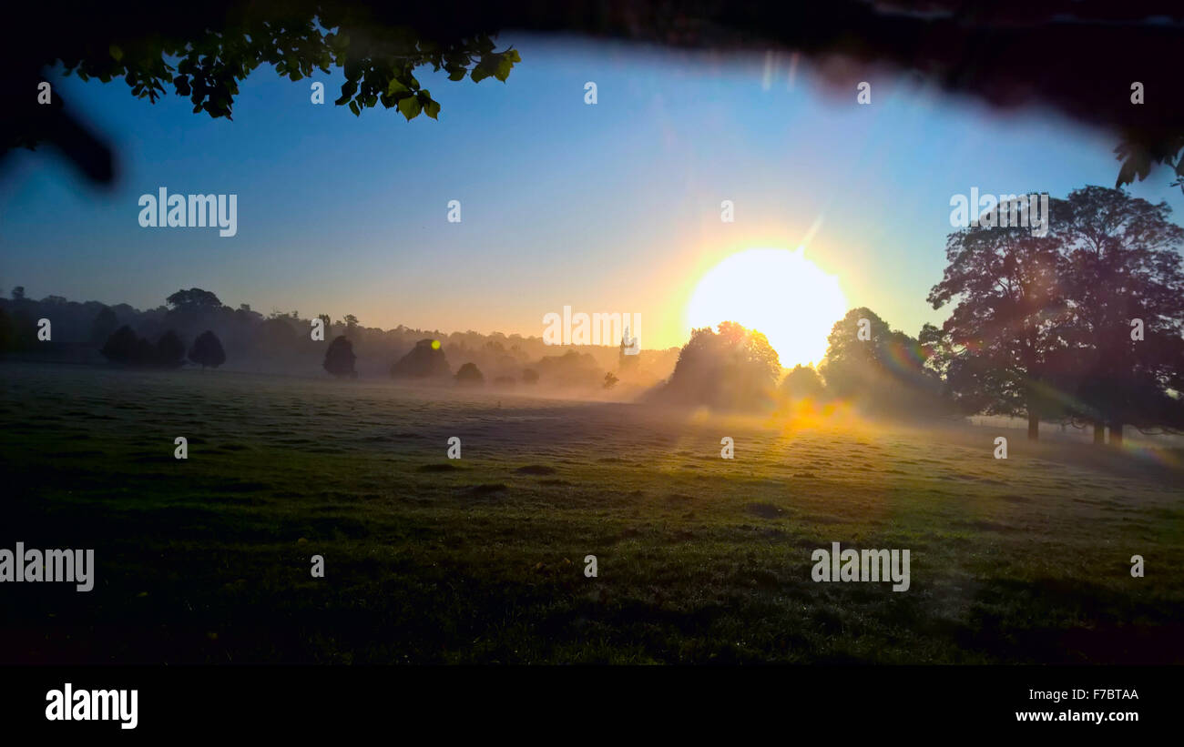 Sonnenaufgang in Oxfordshire Stockfoto