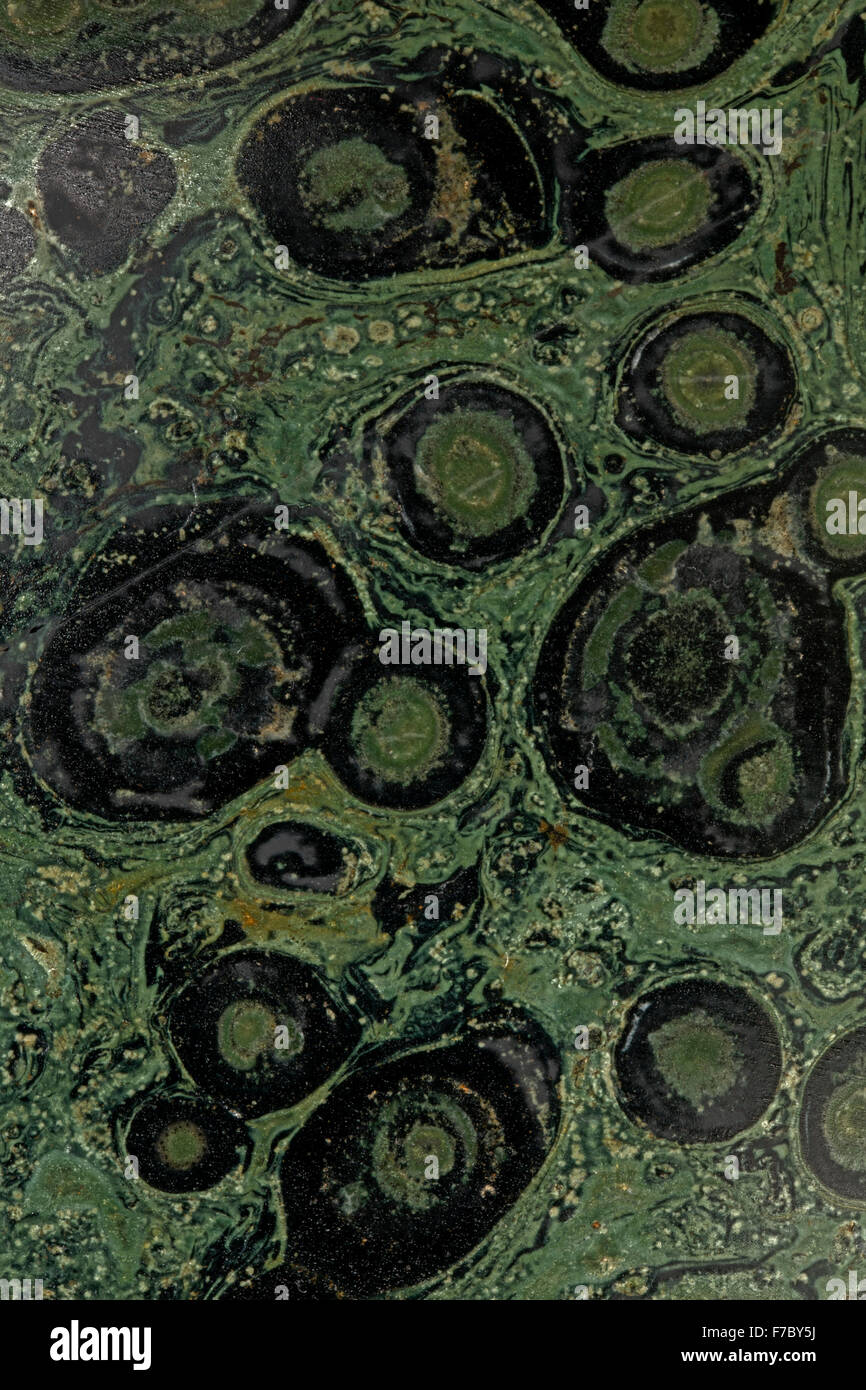 Fossile Stromatolithen, "Kambaba Jasper", Madagaskar, Nahaufnahme von polierten Querschnitt Stockfoto