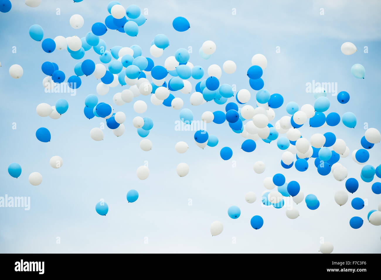 Luftballons in weiß und zwei Blautönen auf einem bewölkten Himmelshintergrund. Stockfoto