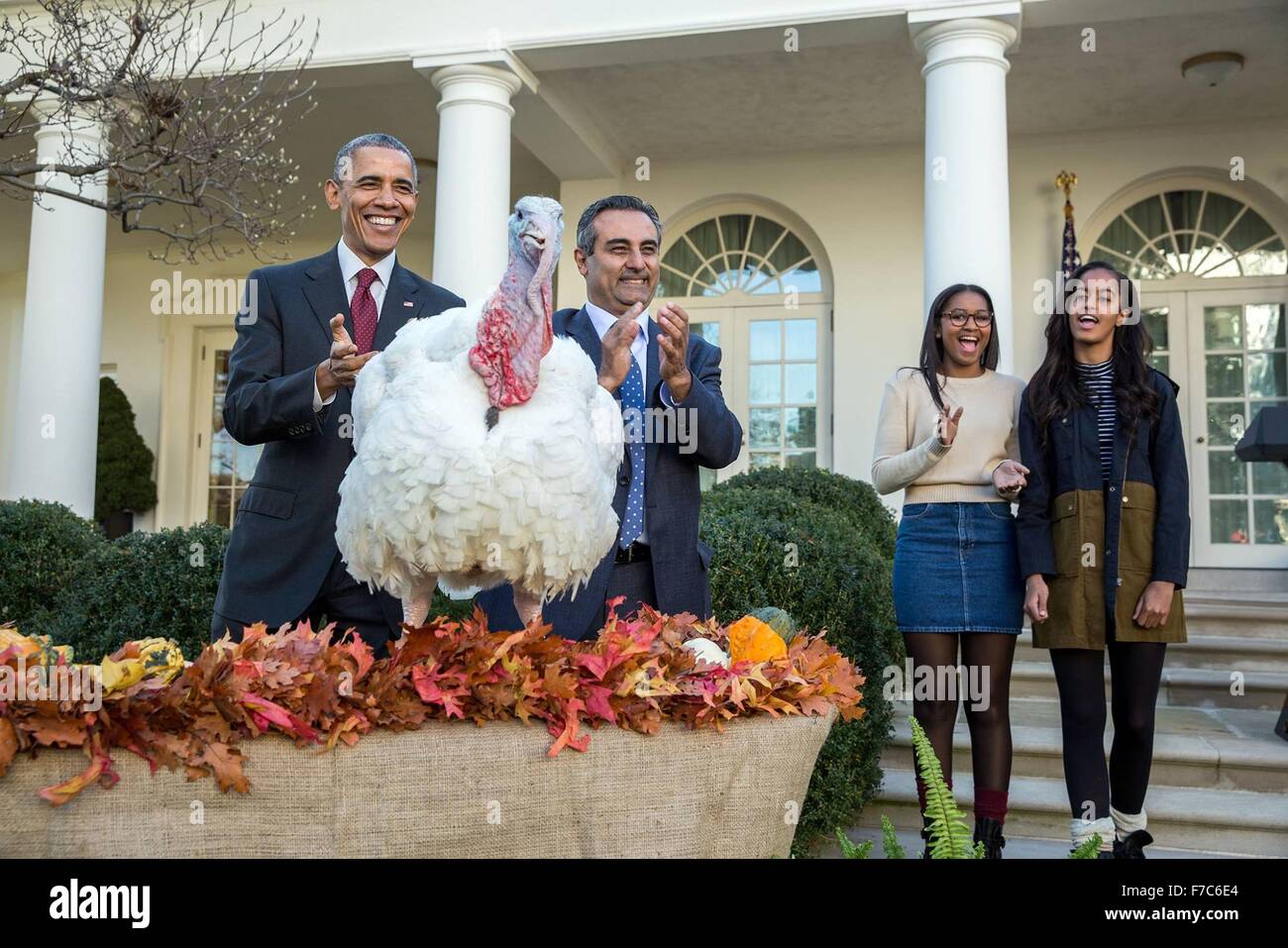 US-Präsident Barack Obama verzeiht Abe 40-Pfund-Türkei Türkei Landesverband Vorsitzender Dr. Jihad Douglas und Töchter Malia und Sasha Aussehen am 25. November 2015 in Washington, DC. Die Begnadigung durch den Präsidenten der Türkei ist eine jährliche White House Thanksgiving Tradition. Stockfoto
