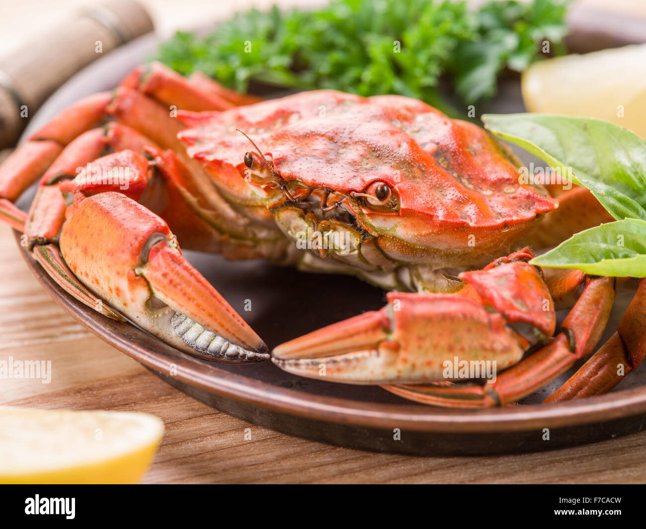 Fischgericht - Krabben mit Zitrone und Kräutern gekocht. Stockfoto