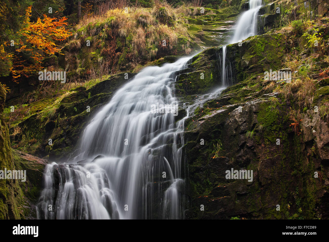 Polen, Niederschlesien, Sudeten, Riesengebirge, Kamienczyk Wasserfall Stockfoto