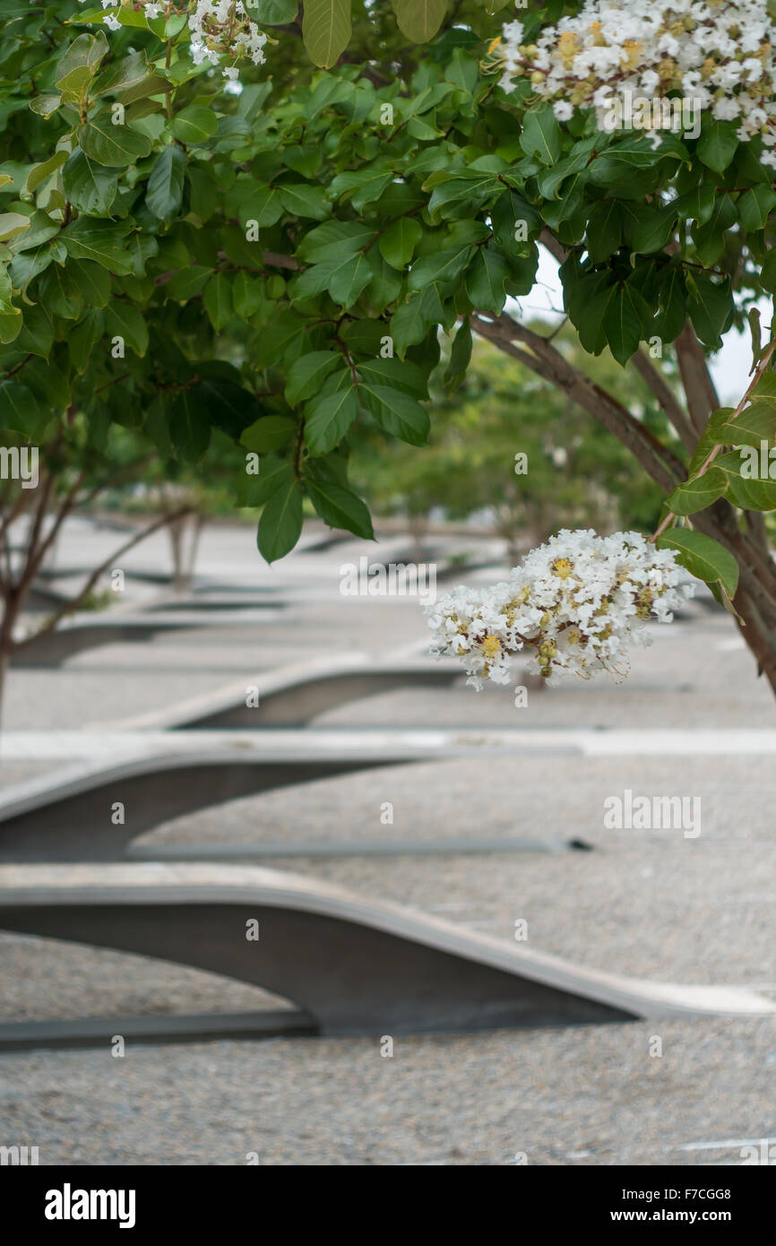 Das Pentagon Memorial, Virginia. Jede Bank stellt eine der 184 Leute, die am 11. September 2001 starb. Stockfoto