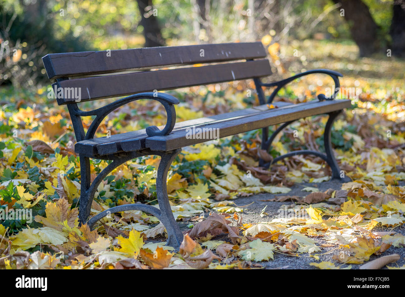 Sitzbank mit Herbst Laub bedeckt Stockfoto