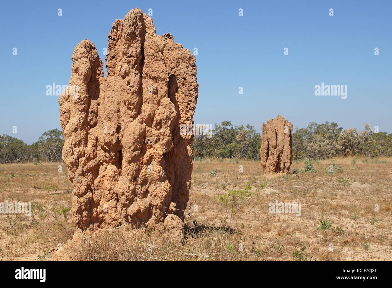 Termite Mound, Kakadu National Park, Australien Stockfoto