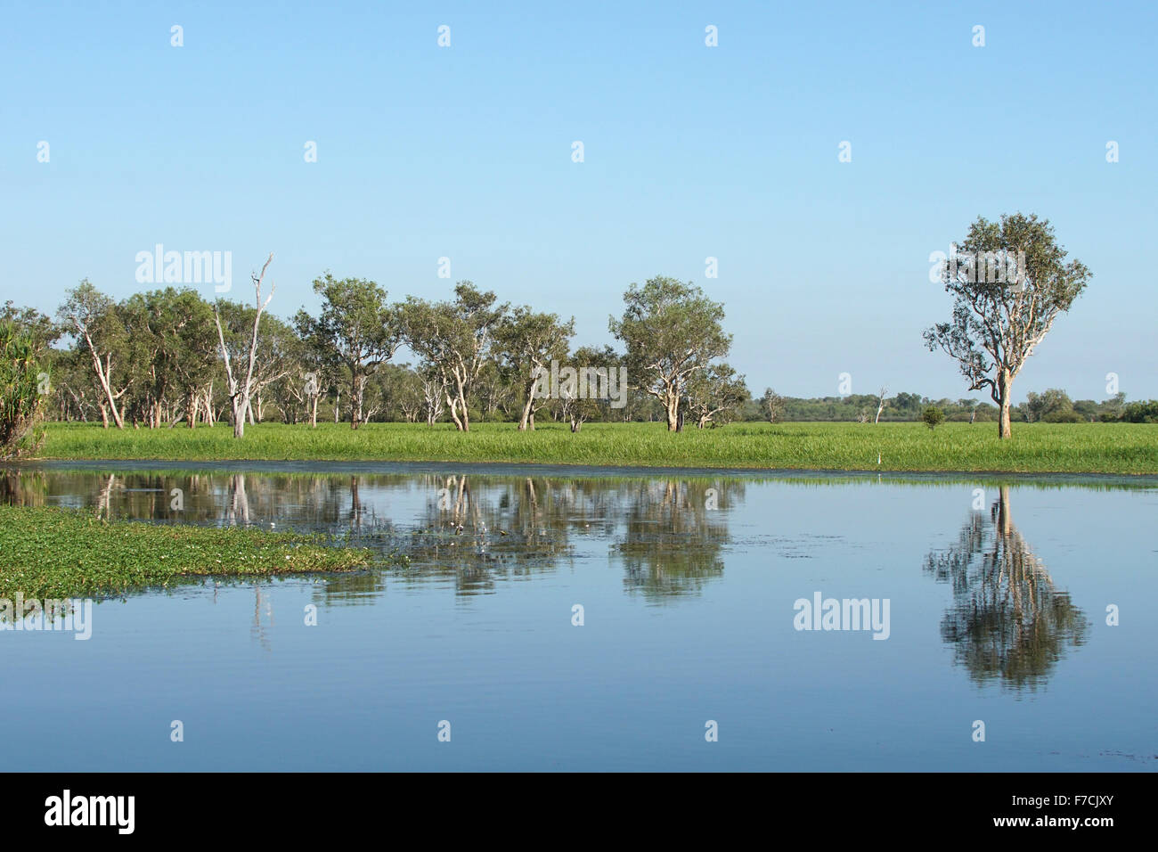 Landschaft des Kakadu National Park in der Nähe von Yellow Water, Australien Stockfoto