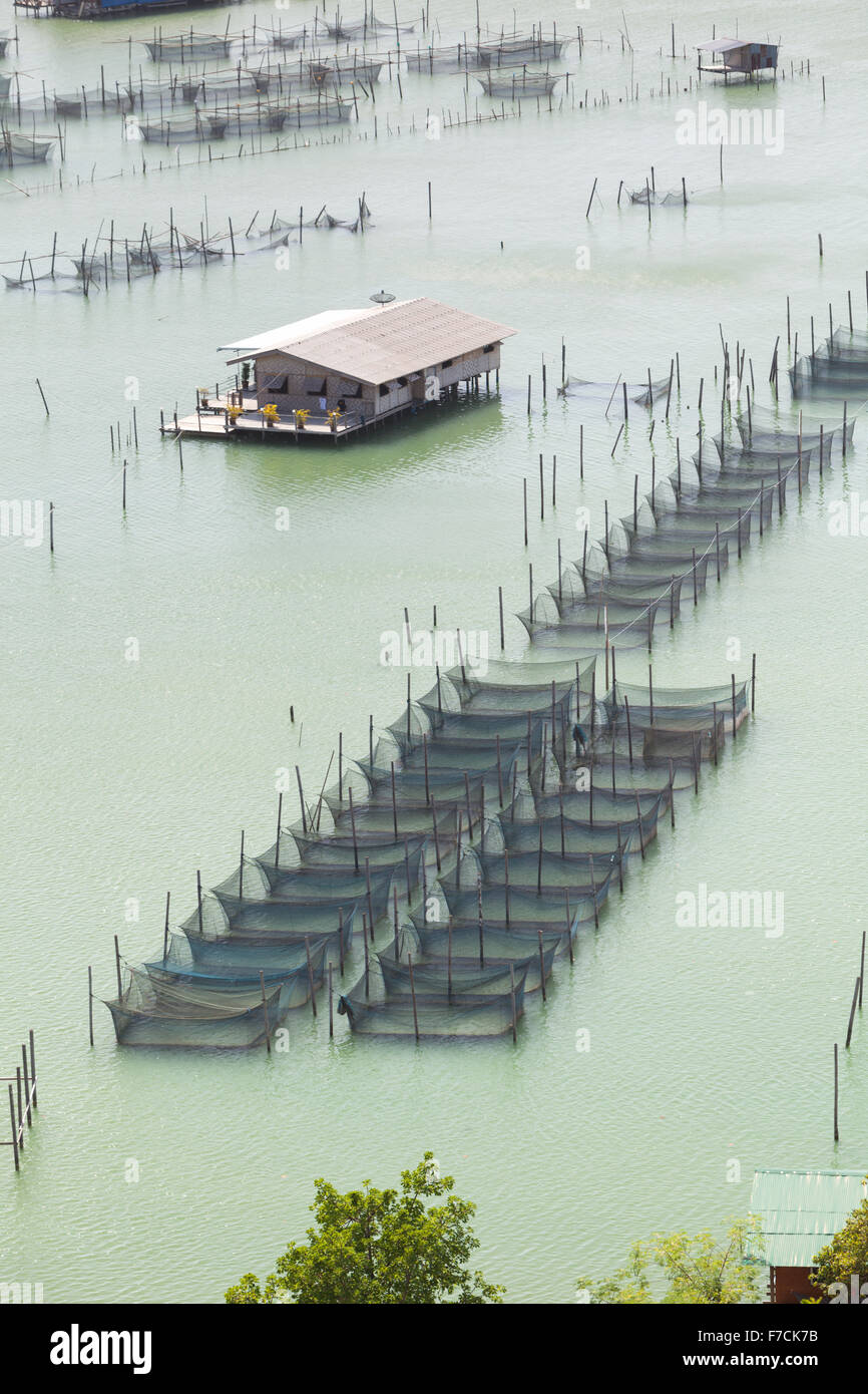 Fischzucht in Songkhla-See im Süden Thailands Stockfoto
