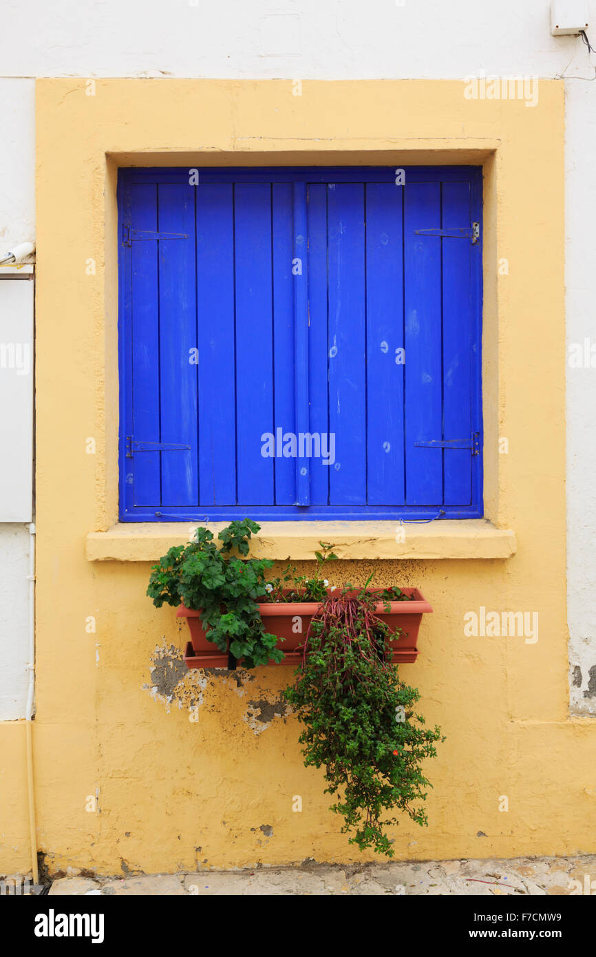 Blauen Fensterläden mit Blumentopf gegen eine gelbe Wand, Larnaca Zypern. Stockfoto