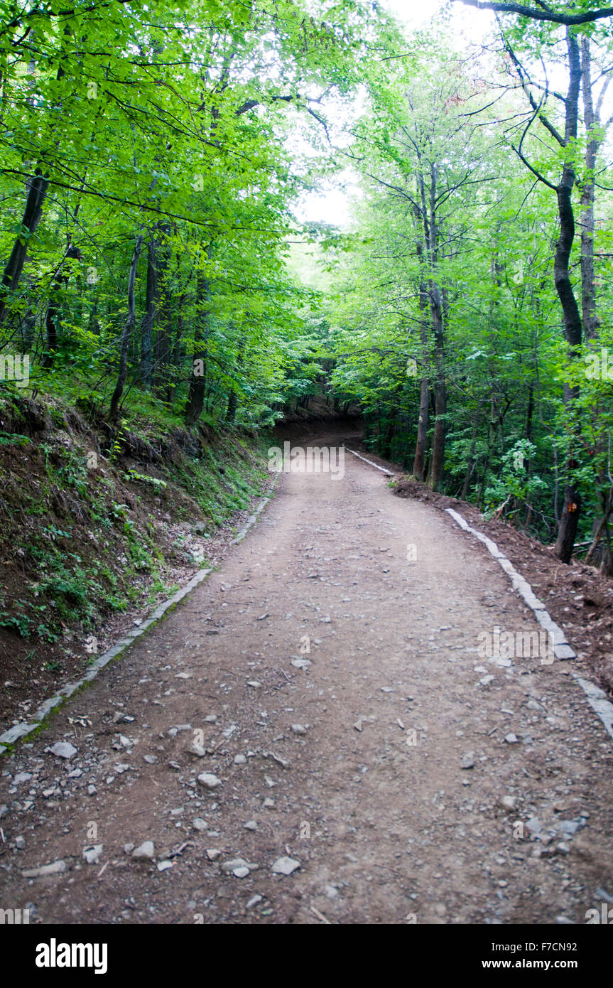 Boden-Straße in Bulgarien Vitosha Berg Wald Stockfoto