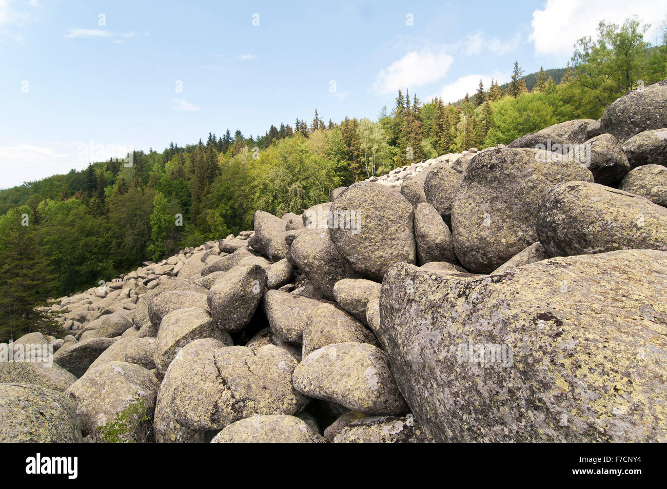 Stone River große Granitsteine auf Rocky River Nationalpark Vitosha, Bulgarien Stockfoto