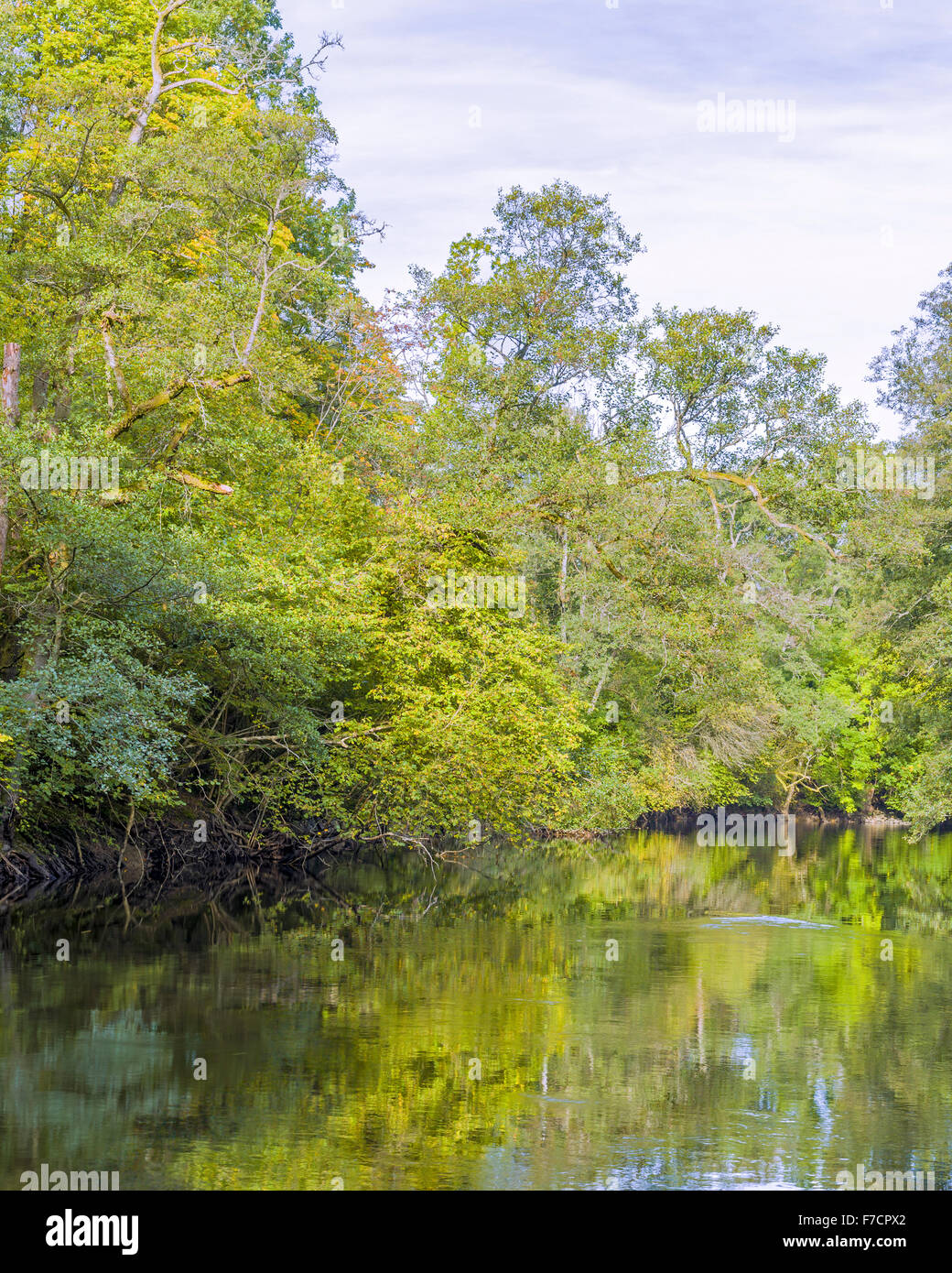 Schöne frische lebendige pulsierende grüne ruhige Natur Landschaft und Fluss Szene. Säveån Flusses Säveån Nature Reserve, Floda, Västra Götaland, Schweden Model Release: Nein Property Release: Nein. Stockfoto