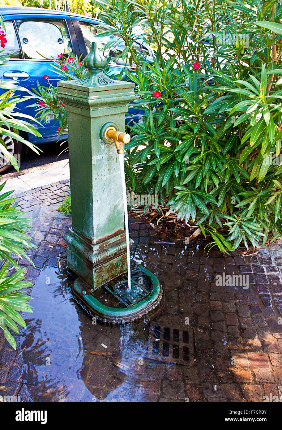 Triest, Italien - Vintage Eisen Brunnen, Sommer-Erfrischung zwischen Oleander Sträucher mit schönen Blumen Stockfoto