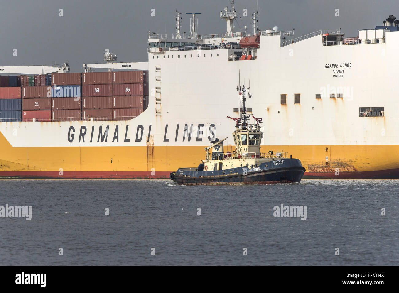 Der Schlepper, die Svitzer Cecilia in den Schatten gestellt durch die großen Containerladung ist Schiff Grande Kongo, wie sie flussaufwärts auf der Themse dampft. Stockfoto